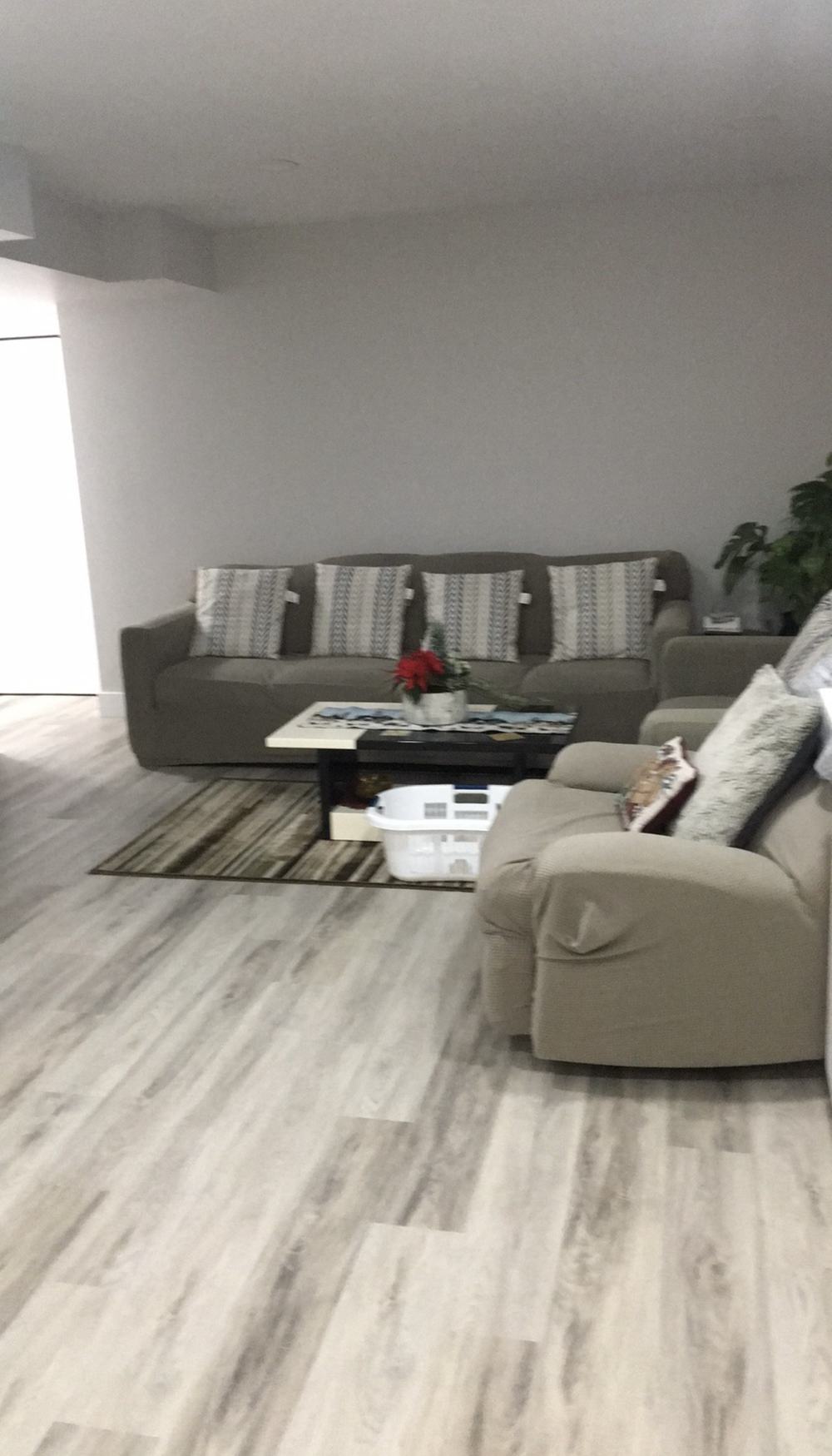 Finished living room with new flooring
